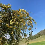 Konukevi Greeneria Guarene