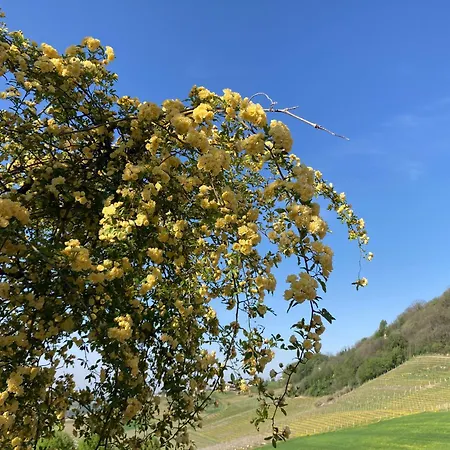 Affittacamere Greeneria Guarene