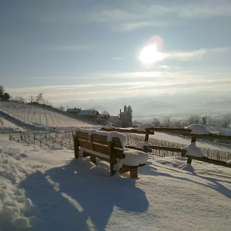 Affittacamere Greeneria 4*