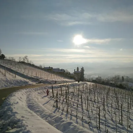 Affittacamere Greeneria 4*